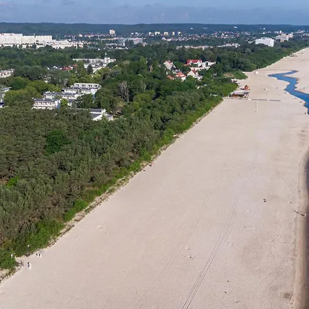 Sunny Wood - Bursztynowa * Gdańsk