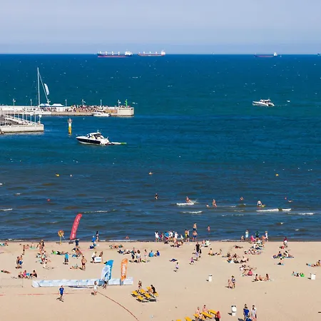 Sunny Wood - Bursztynowa