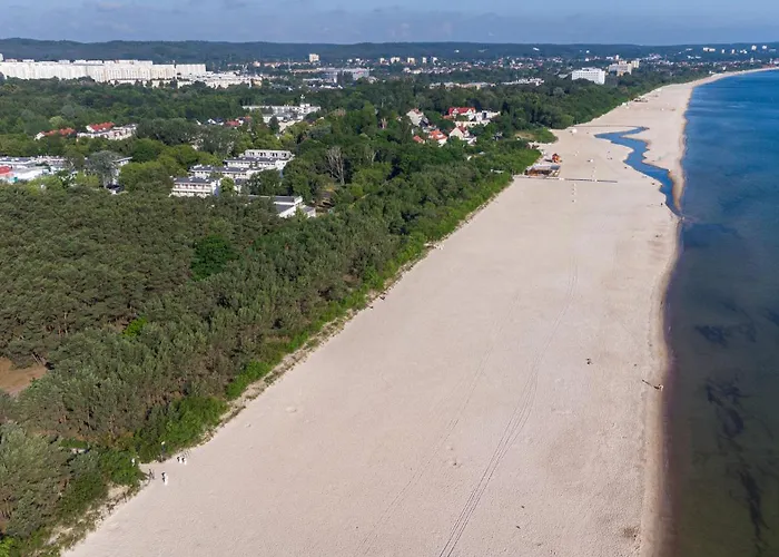 Sunny Wood - Bursztynowa * 格但斯克